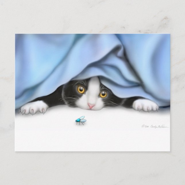 Carte postale Curieux Kitten (Devant)