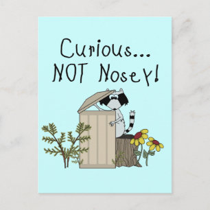 Carte Postale Curieux Raccoon