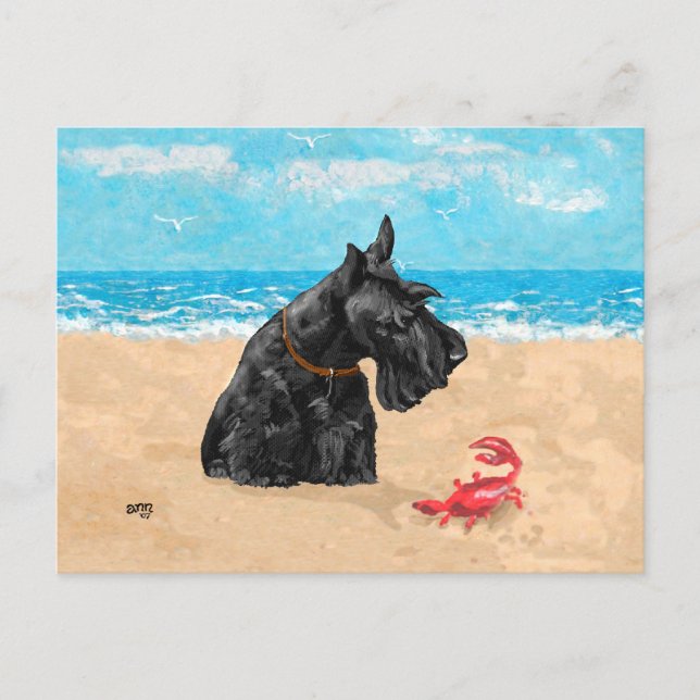 Carte Postale Curieux Scottie à la plage (Devant)