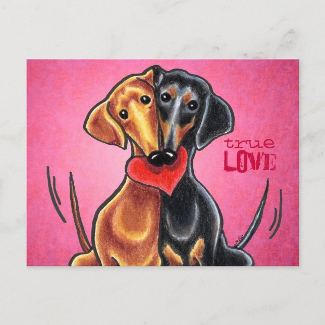 Carte Postale Custom de Dachshunds (Devant)