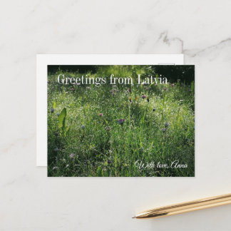 Carte Postale Custom Greetings from Latvia Wildflower Photograph