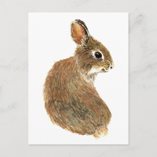 Carte Postale Customisez ce Curious Rabbit, Aquarelle Animal (Devant)