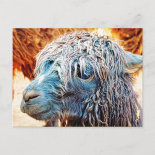 Carte Postale Cute Alpaca bébé en bleu