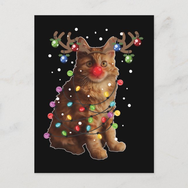 Carte Postale Cute American Bobtail Cat Noël Cadeaux de Noël (Devant)