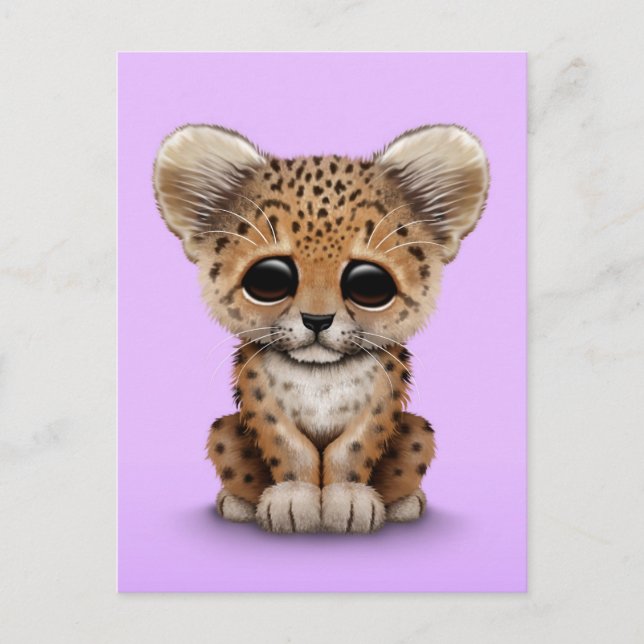 Carte Postale Cute Baby Leopard Cub sur Purple (Devant)