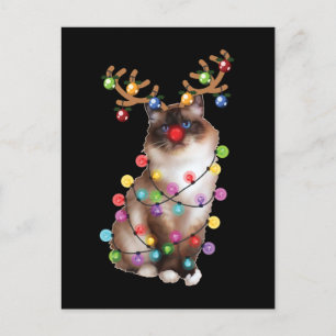 Carte Postale Cute Birman Chat Funny Noël Cadeaux de Noël