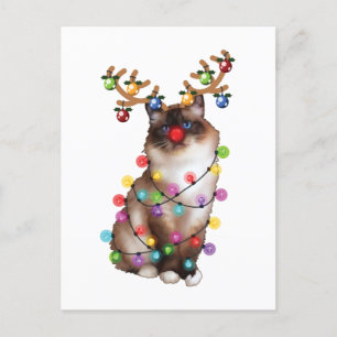 Carte Postale Cute Birman Chat Funny Noël Cadeaux de Noël