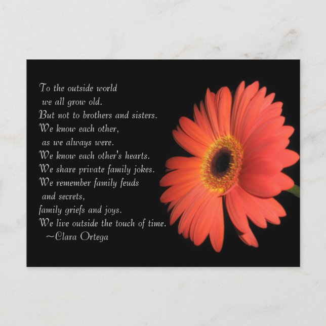 Carte Postale Cute Brother / Sister Anniversaire de la fratrie (Devant)