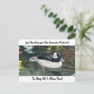 Carte Postale Cute Canard "I Miss YOU" Dit Hi Post Card