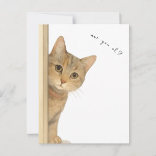Carte Postale Cute Cat Are You Ok ? Carte.