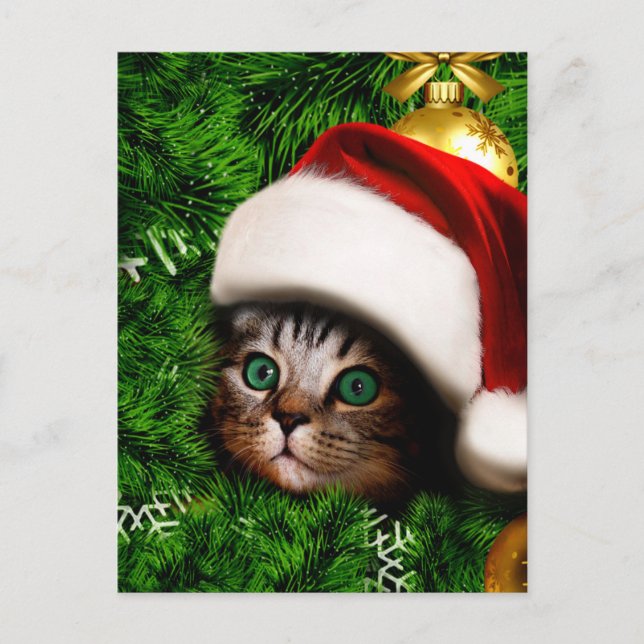 Carte Postale Cute Cat on Christmas tree (Devant)