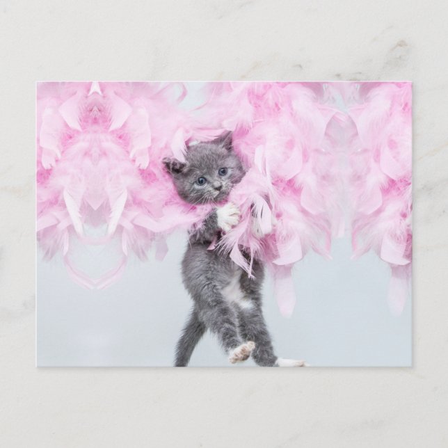 Carte Postale Cute Cat rose plume (Devant)