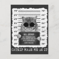 Cute Catnip M'A Fait Faire Chat Mugshot
