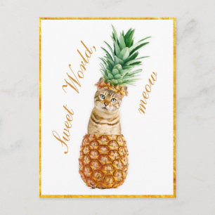 Carte Postale Cute chat dans un ananas - Funny Meow Kitty