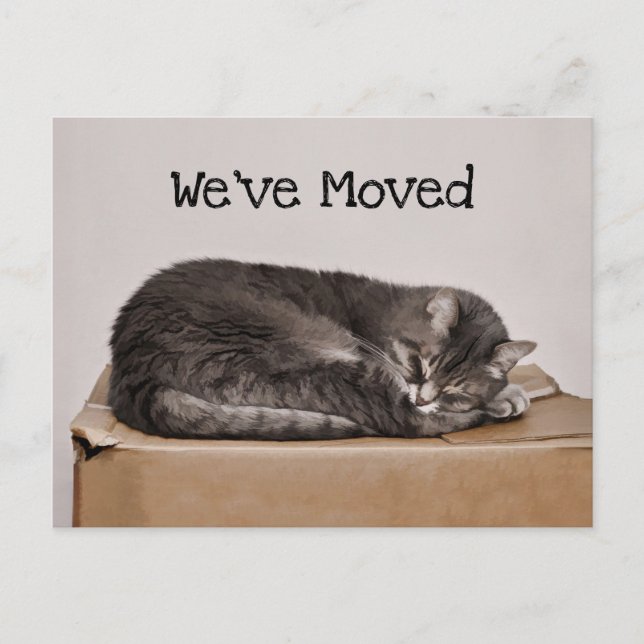 Carte Postale Cute Chat Gris Dormir Sur Boîte Déplaçant (Devant)
