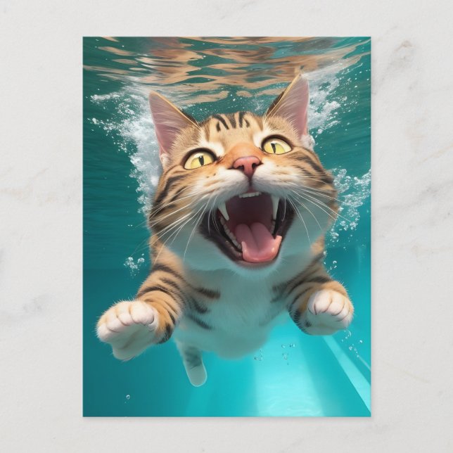 Carte Postale Cute Chat Plongée sous l'eau dans la piscine Amusa (Devant)