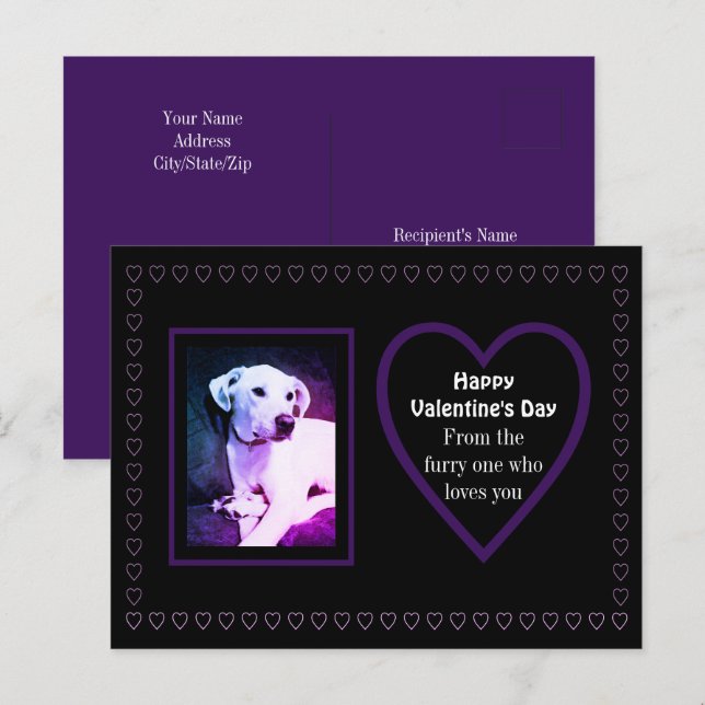Carte Postale Cute Chien Blanc Chien Violet Coeurs De Animaux (Devant / Derrière)