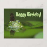 Cute frog