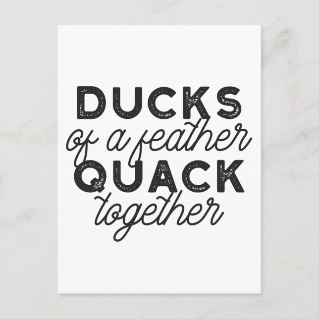 Carte Postale Cute Funny Canards Puns Citation II (Devant)