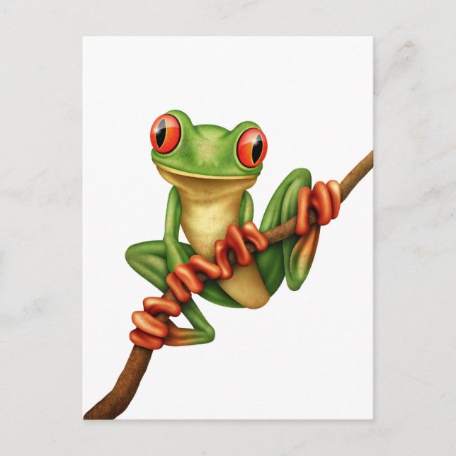 Carte Postale Cute grenouille verte sur une branche sur blanc (Devant)