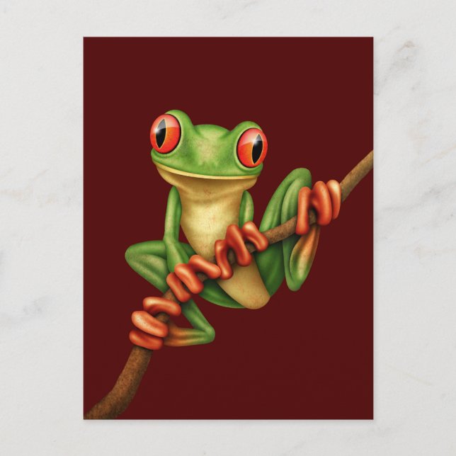 Carte Postale Cute grenouille verte sur une branche sur rouge (Devant)