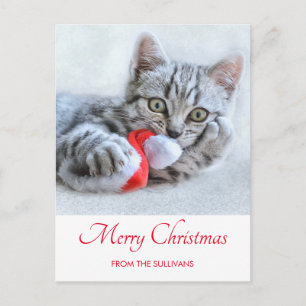 Carte Postale Cute Grey Tabby Chat Noël Casquette Noël Noël Noël