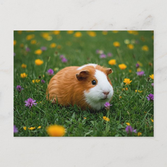 Carte postale Cute Guinée Cochon Fleur Grass Natur (Devant)