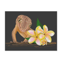 Cute Hawaii Gecko