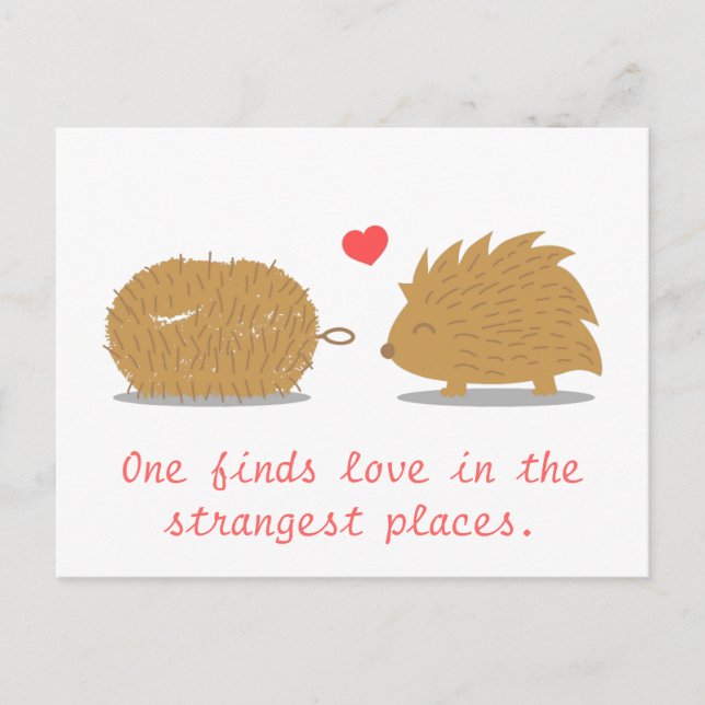 Carte Postale Cute Hedgehog trouve son véritable amour dans une  (Devant)