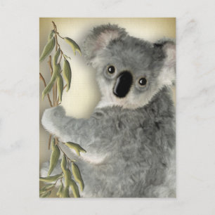 Carte Postale Cute Koala