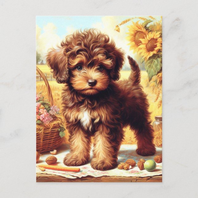 Carte Postale Cute Lagotto Romagnolo Peinture (Devant)