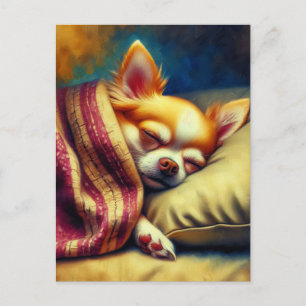 Carte Postale Cute Napping Chihuahua   Maintenir le contact