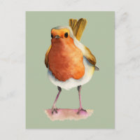 Cute Orange Robin Oiseau Aquarelle Art