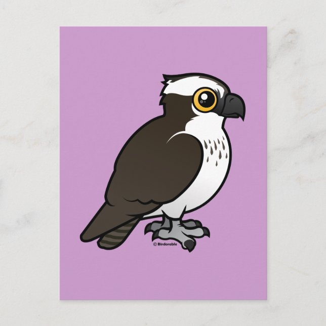 Carte Postale Cute Osprey (Devant)