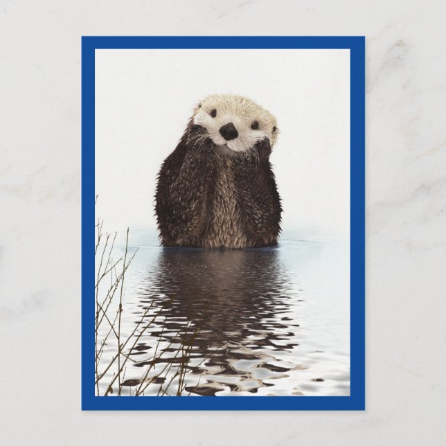Carte Postale Cute Otter Bleu animal (Devant)