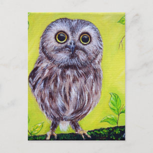 Carte Postale Cute Owl
