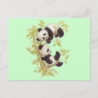 Carte Postale Cute Pandas