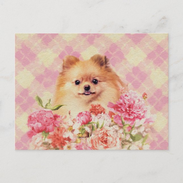 Carte Postale Cute Poméranian German Spitz with Flowers (Devant)