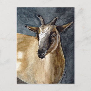 Carte Postale Cute Pygmée Chèvre Aquarelle