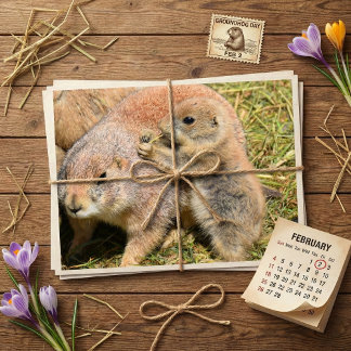Carte Postale Cute Realistic Groundhog Family Photo