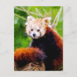 Carte Postale Cute Rouge Panda Animal Peint À La Main