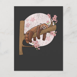 Carte Postale Cute Rouge Panda Nap Lazy Sleeping Animal