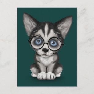 Carte Postale Cute Sibérienne Husky Puppy Porte des lunettes Tur