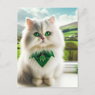 Carte Postale Cute St Patricks Day Chat Fluffy Blanc Chat