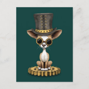 Carte Postale Cute Steampunk Chihuahua Chiot Chien, turquoise