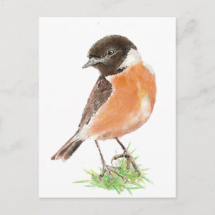 Carte Postale Cute Stonechat, Aquarelle collection d'oiseaux