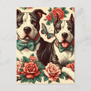 Carte Postale Cute Vintage American Pit Bull Terrier