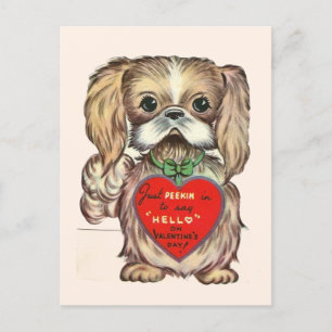 Carte Postale Cute Vintage Pekingese Chien de Chien de Chien 195