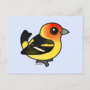 Carte Postale Cute Western Tanager