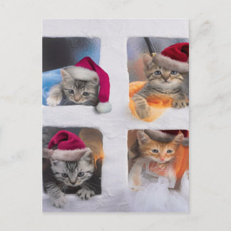 Carte Postale Cute X-mas chatons dans les fenêtres